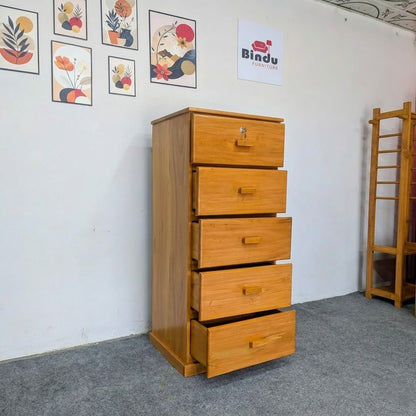 Premium Mahogany Mini Wardrobe | Smart Storage, Premium Look