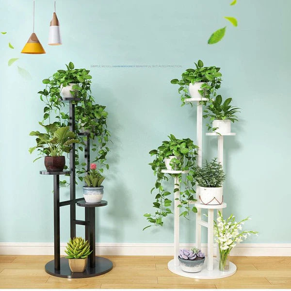Deocorative Flower Stand।Showcase Your Grennary in Style